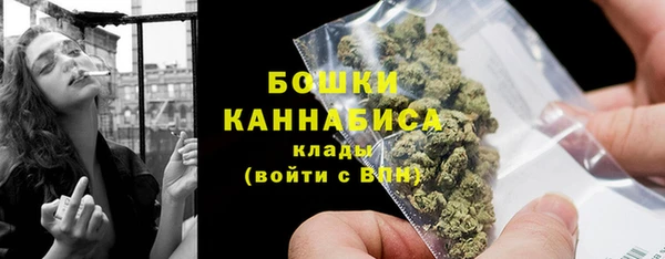 индика Богородицк