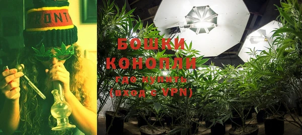 эйфоретик Беломорск