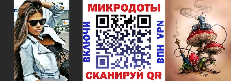 Купить Невель Псилоцибиновые грибы Psilocybe